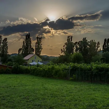 Hajnalka Lejlighed Badacsonytomaj