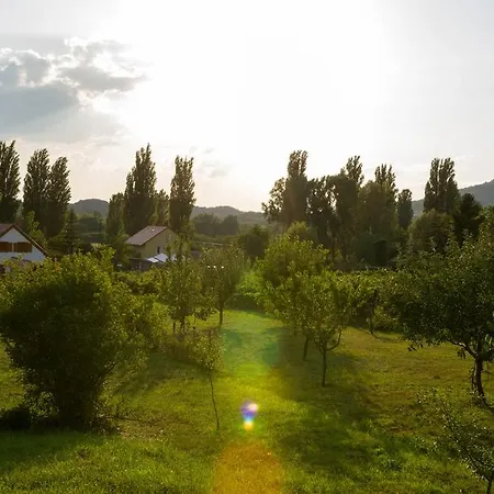 Hajnalka